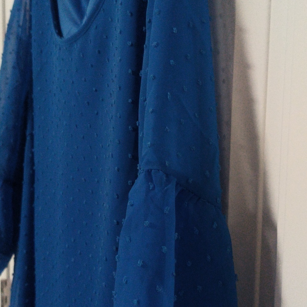 New Dotted Swiss Blue Dress / 2X / Price Dropped! - Picture 8 of 8